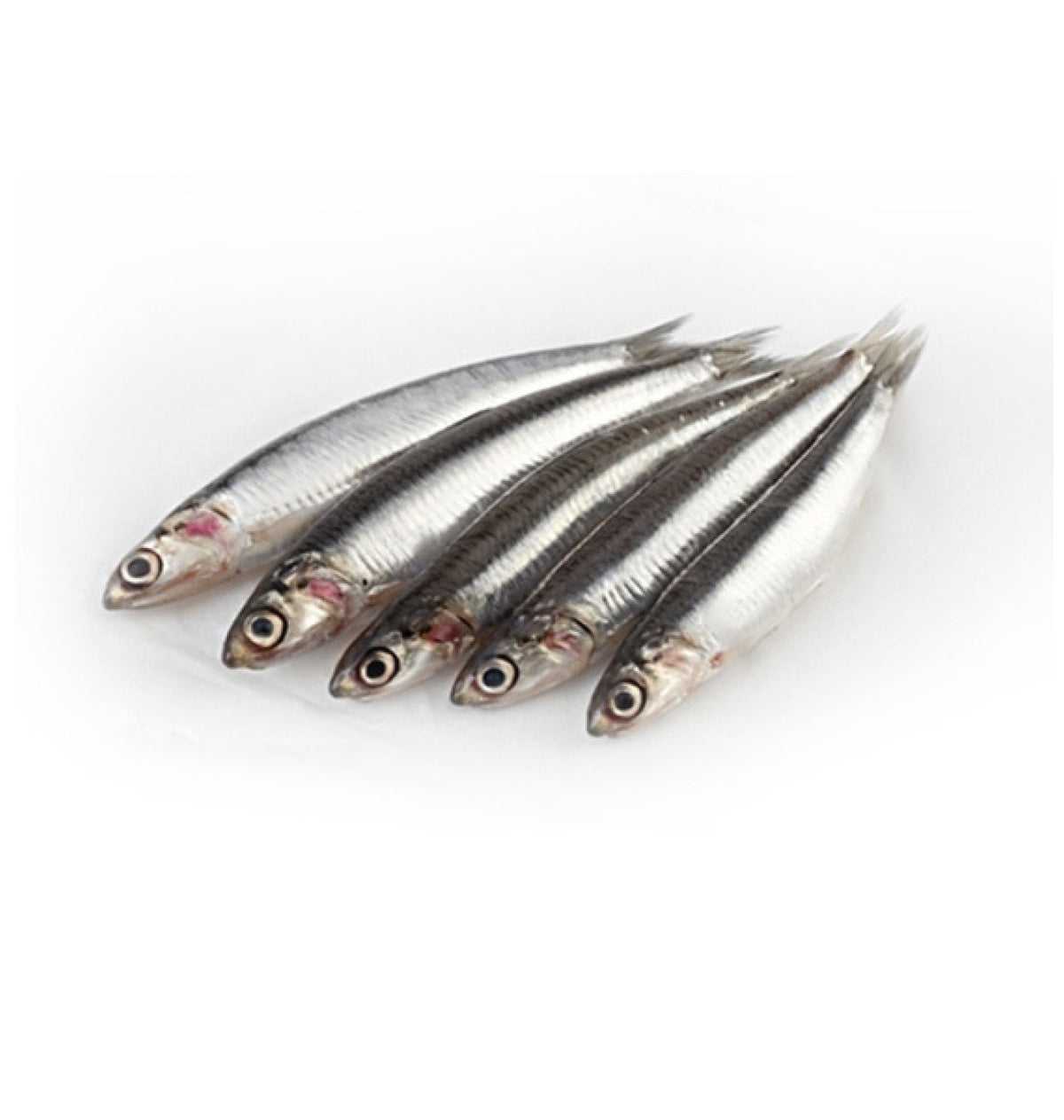 SEITO GROS 50-60 P/Kg