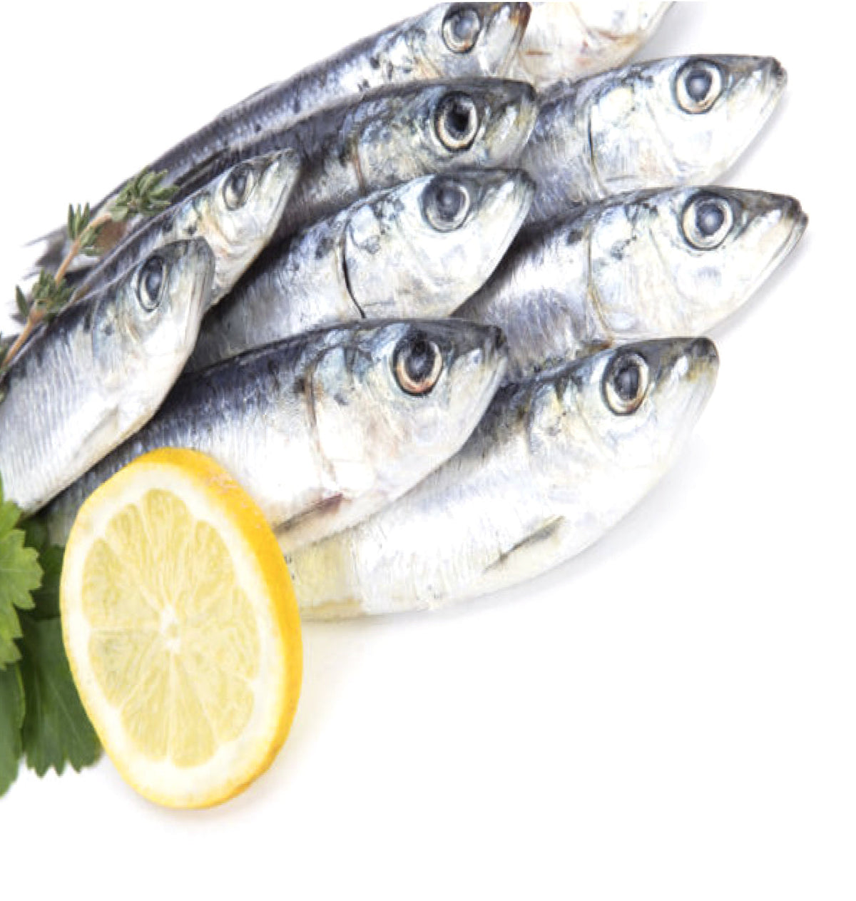 SARDINA MEDITERRANI P/Kg