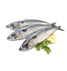 VERAT CANTABRIC P/Kg