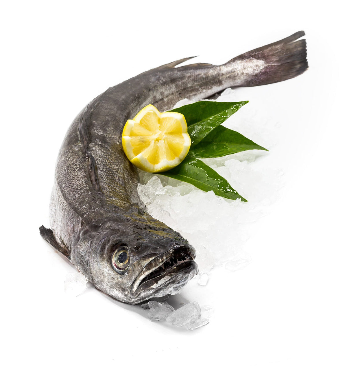 LLUÇ PALANGRE CANT 2-3Kg P/Kg