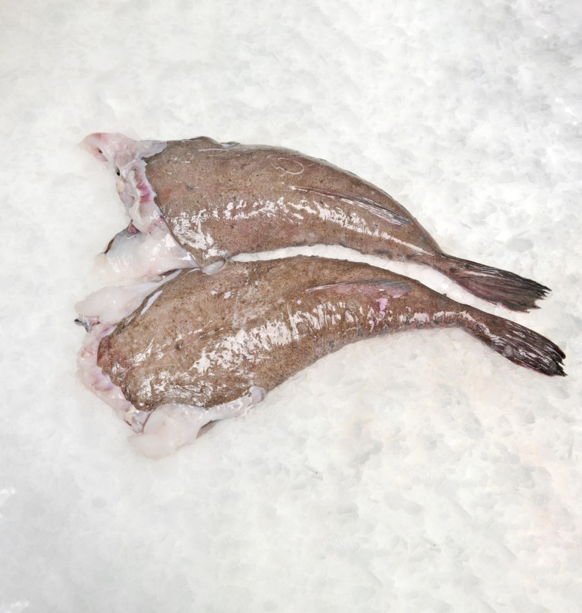 CUA DE RAP 1-2 Kg CANTABRIC