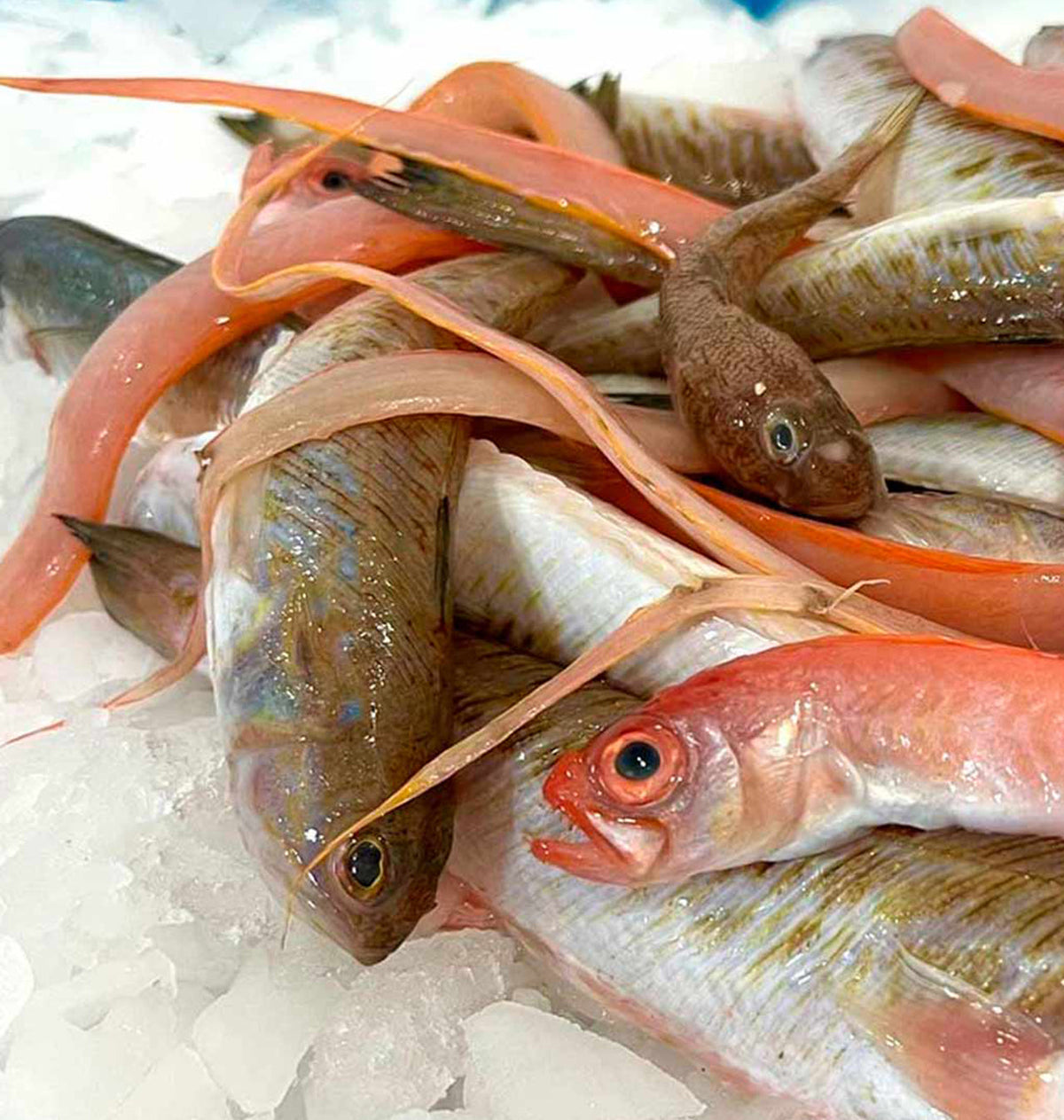 PEIX VARIAT COSTA P/Kg.
