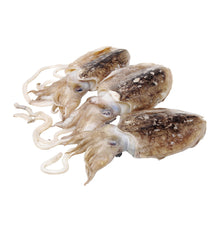 SIPIA BRUTA 300-500g