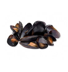 MUSCLO LE MOULE BOUCHOT
