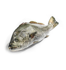 CORBALL