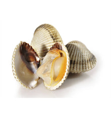 ESCOPINYA GROSSA BOSSA 500g