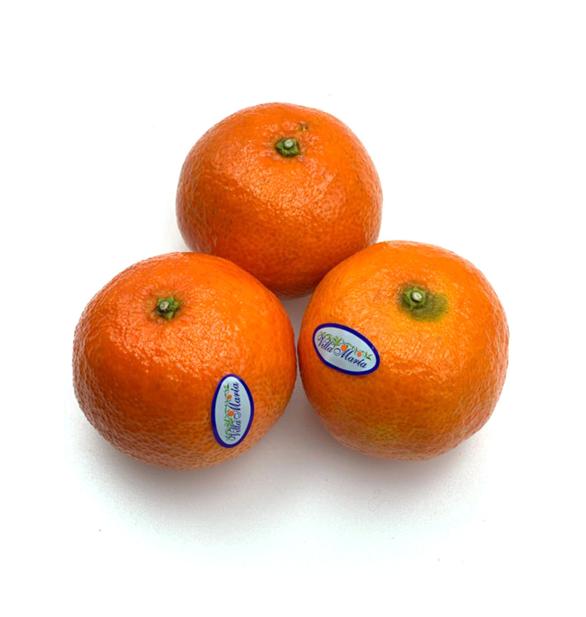 MANDARINA VILLA MARIA PES