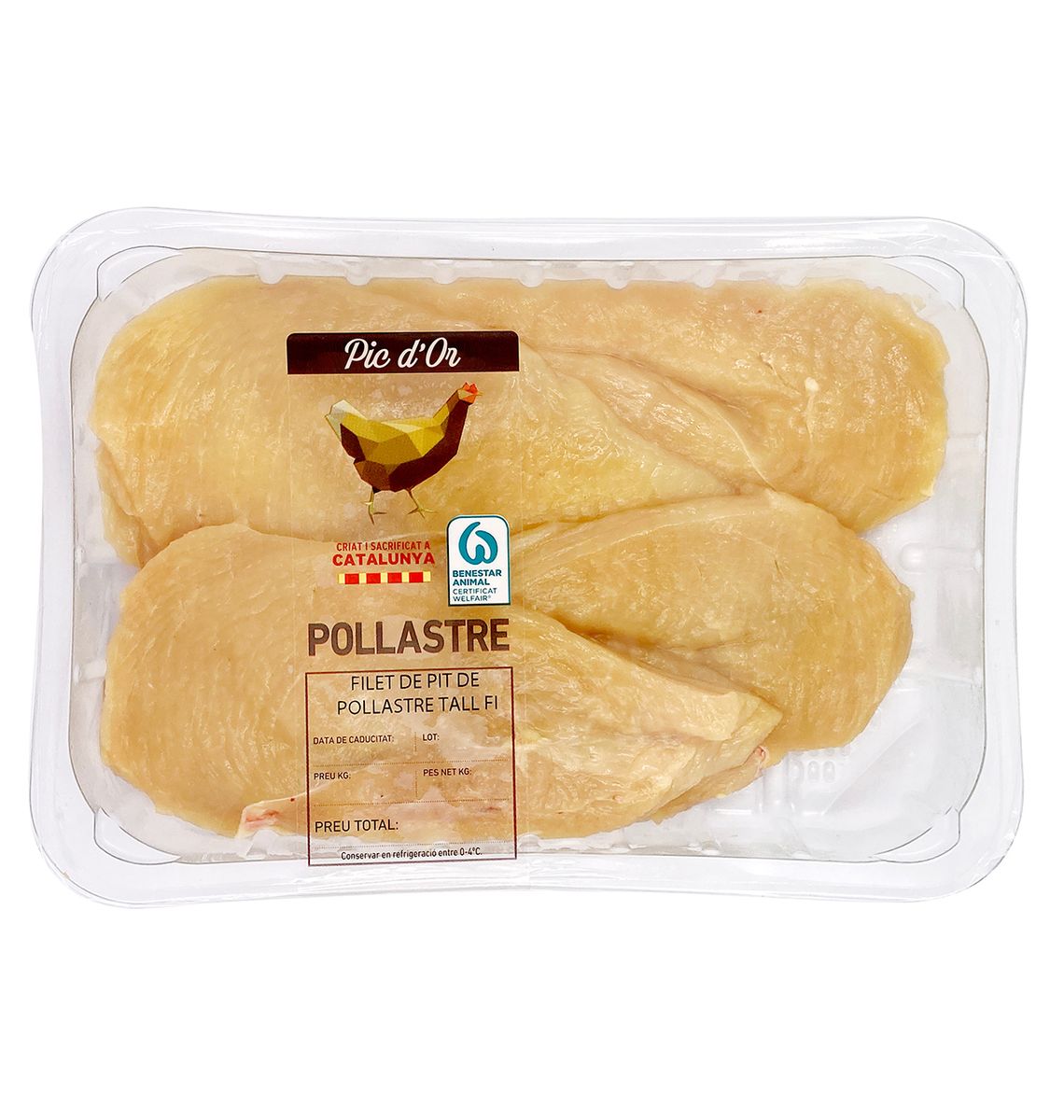 FILET PIT POLLASTRE