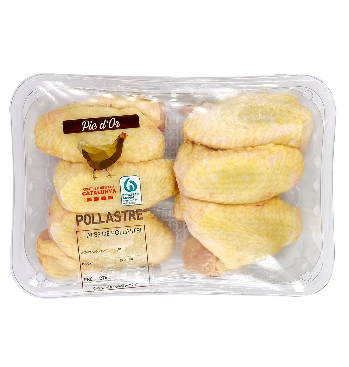 ALES POLLASTRE