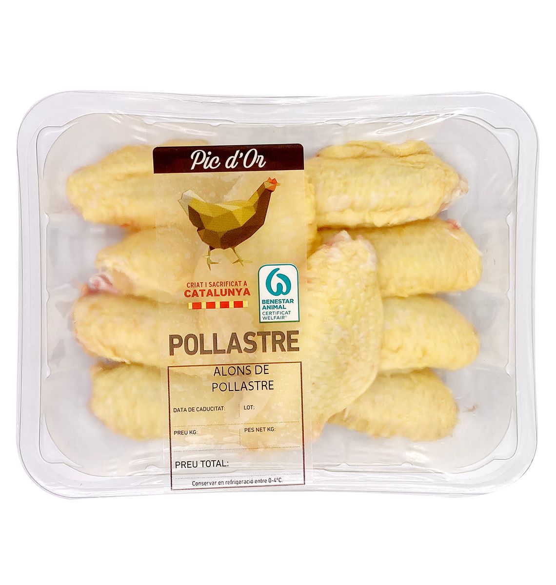 ALONS DE POLLASTRE