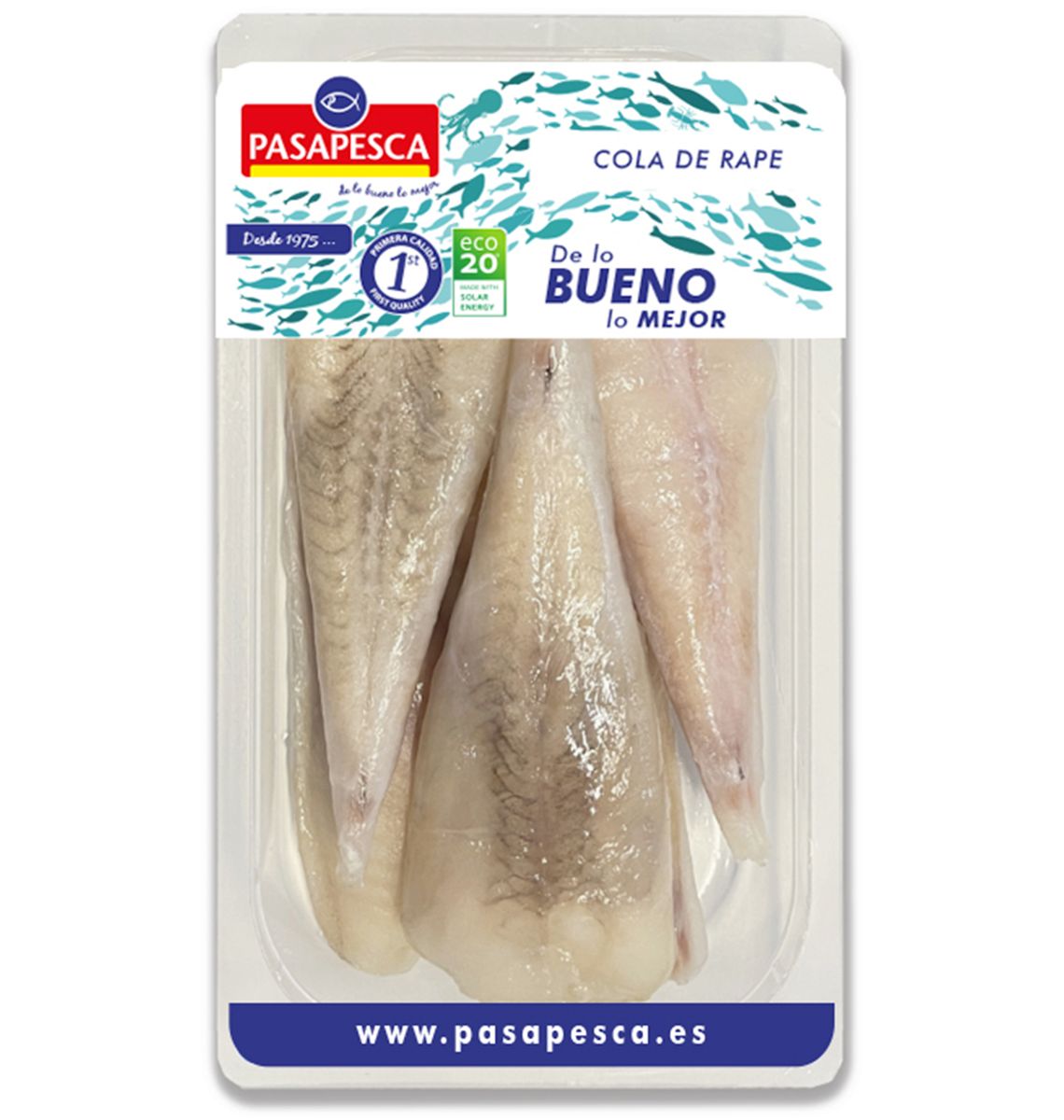CUES RAP PASAPESCA S/PELL 600g