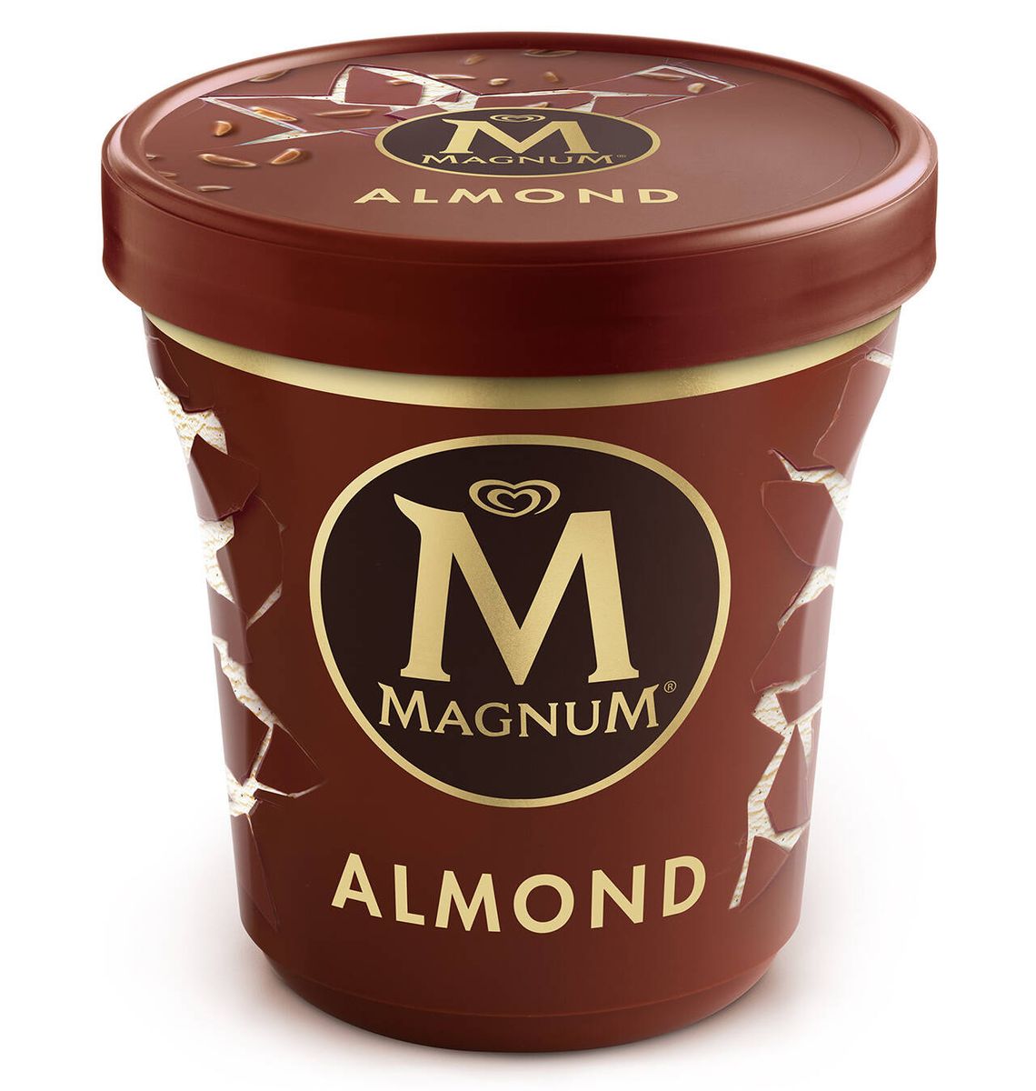 TERRINA MAGNUM ALMON 297g