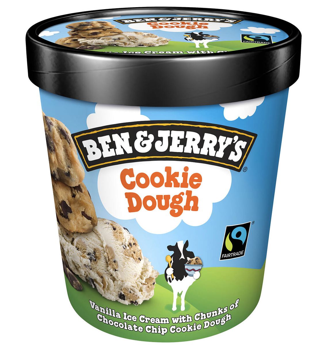 TERRINA B&J COOKIES 465ml