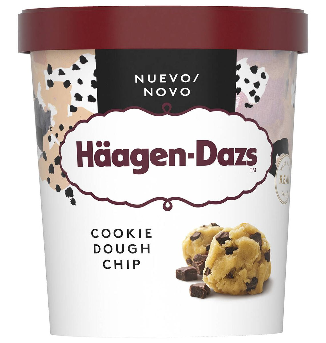 H DAZS TERRINA GALETA/XOCO 460ml