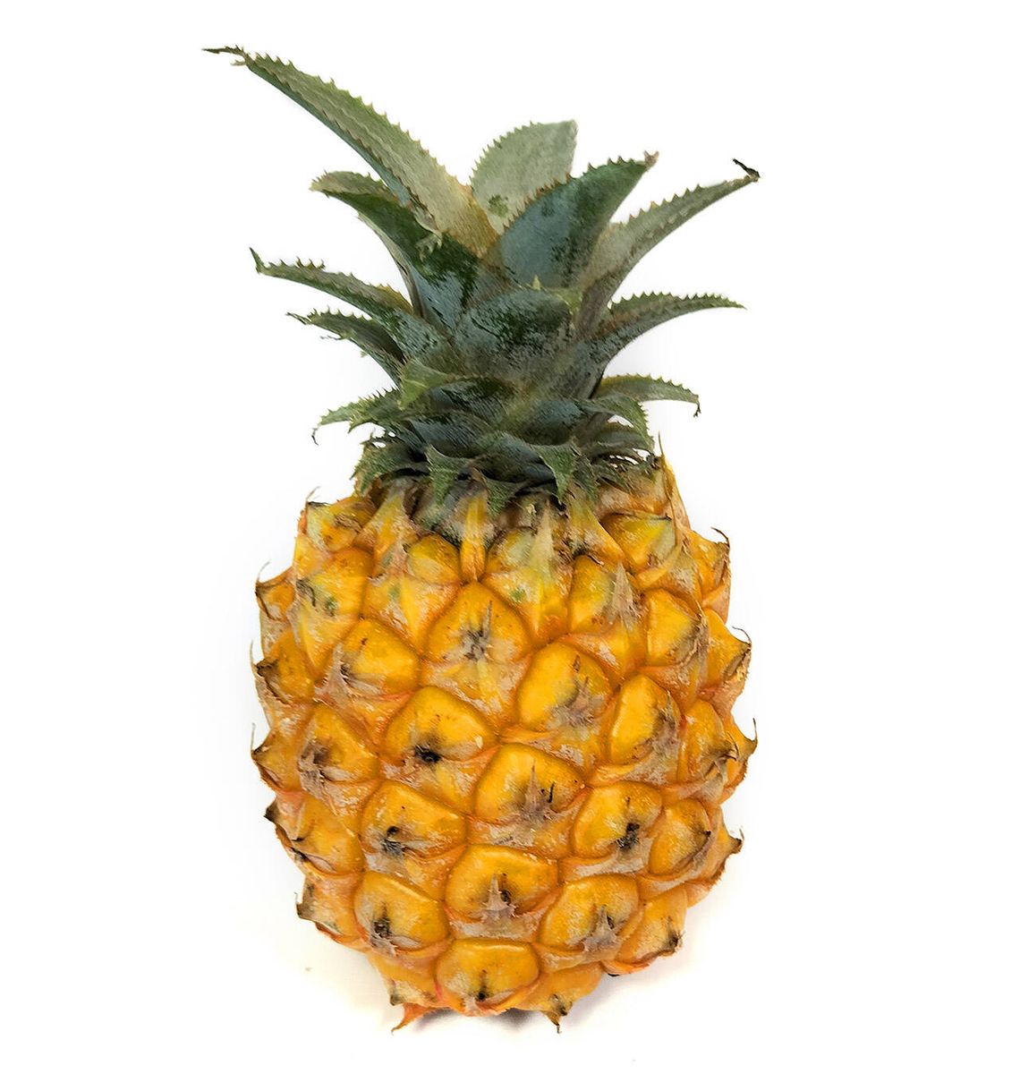 PINYA BABY SAFATA 1 UNI