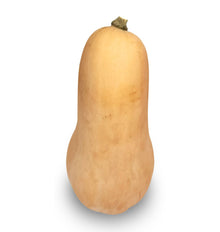 CARBASSA IMPORTACIO