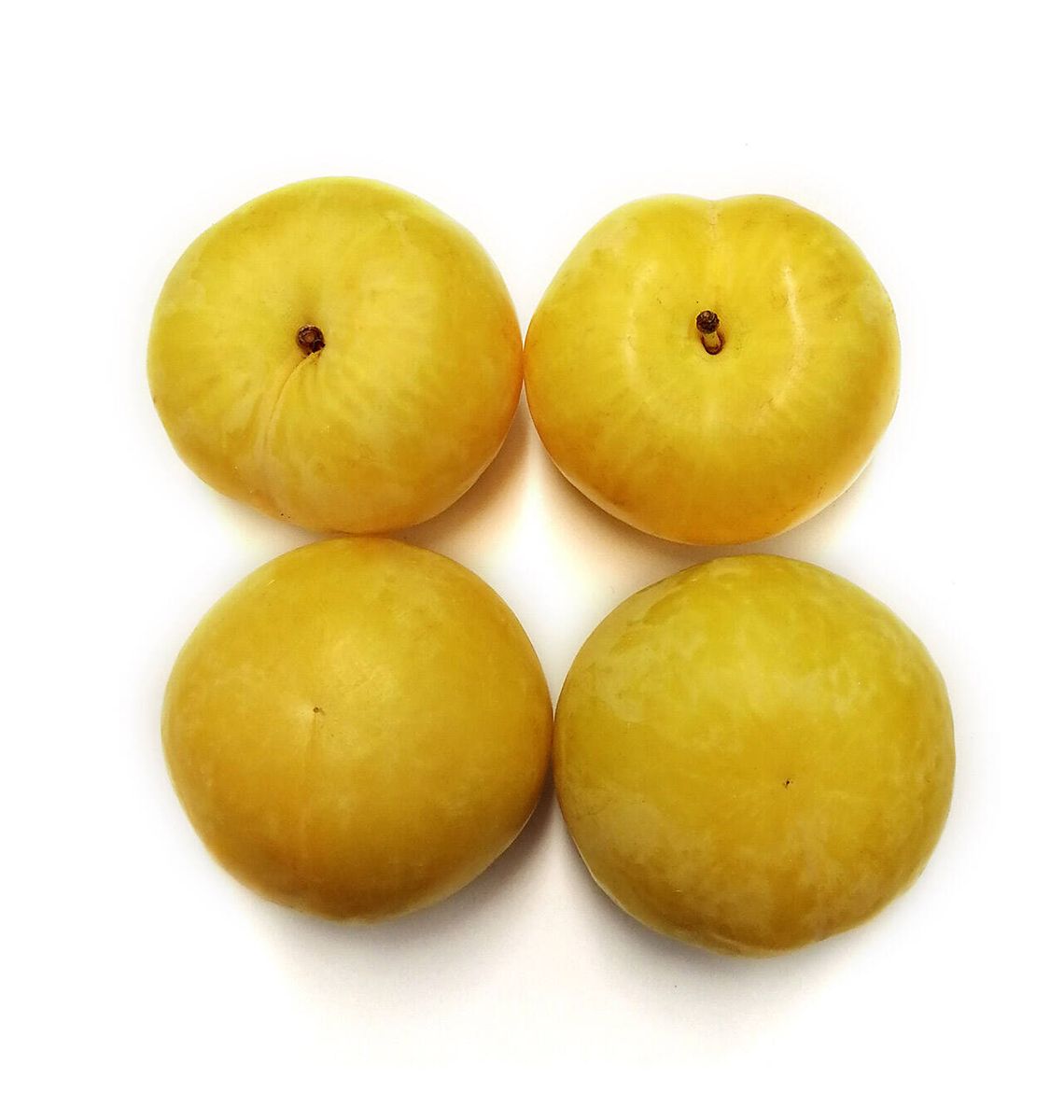 PRUNA GROGA P/Kg