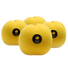 PRESSEC GROC CALANDA P/Kg