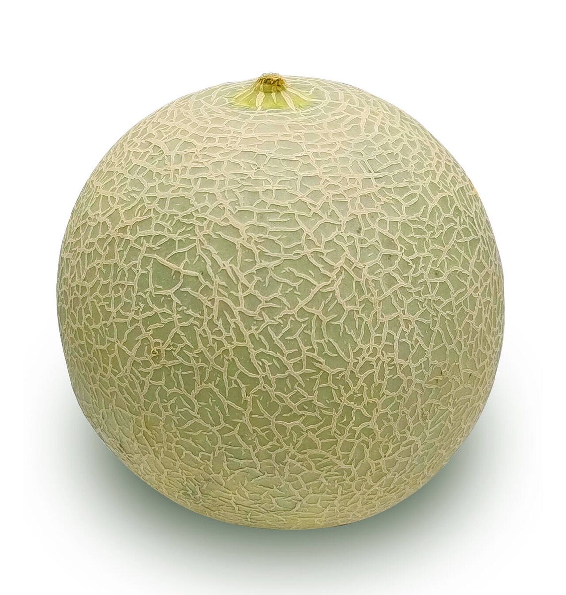 MELO CANTALOUP PES