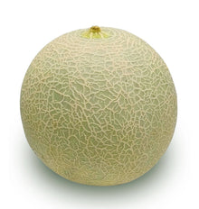 MELO CANTALOUP PES