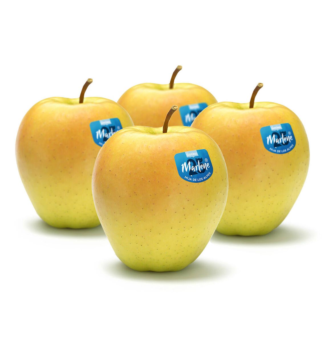 POMA GOLDEN EXTRA