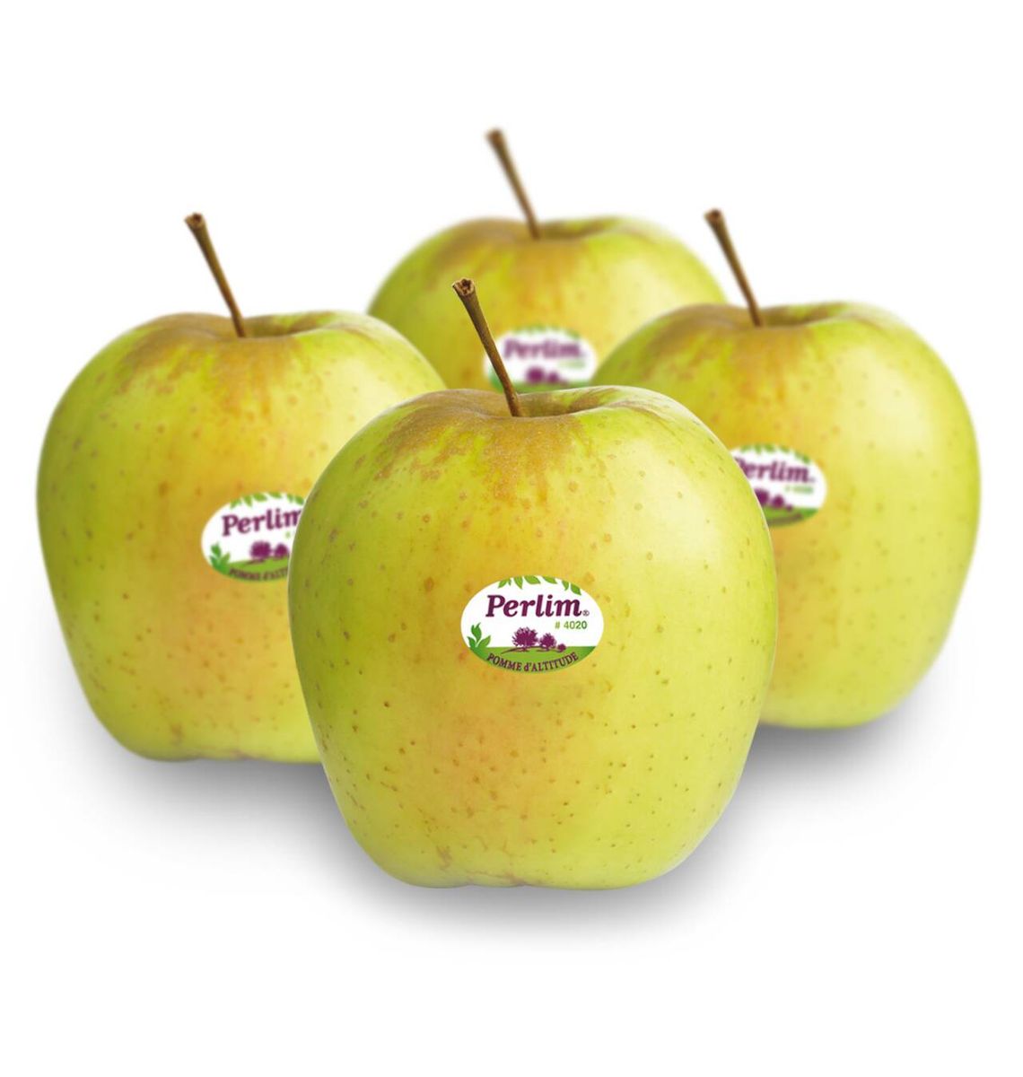 POMA GOLDEN PERLIM P/Kg