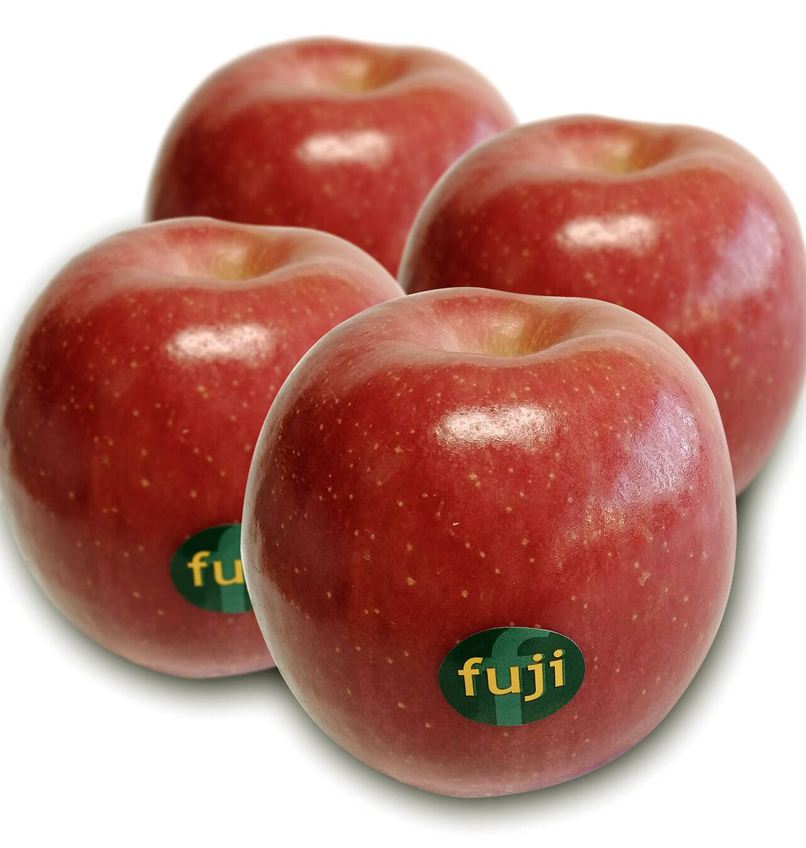 POMA FUJI IMPORTACIO