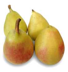 PERA ERCULINA
