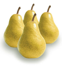 PERA LLIMONERA P/Kg