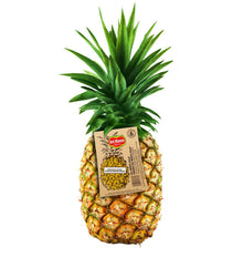 PINYA DEL MONTE