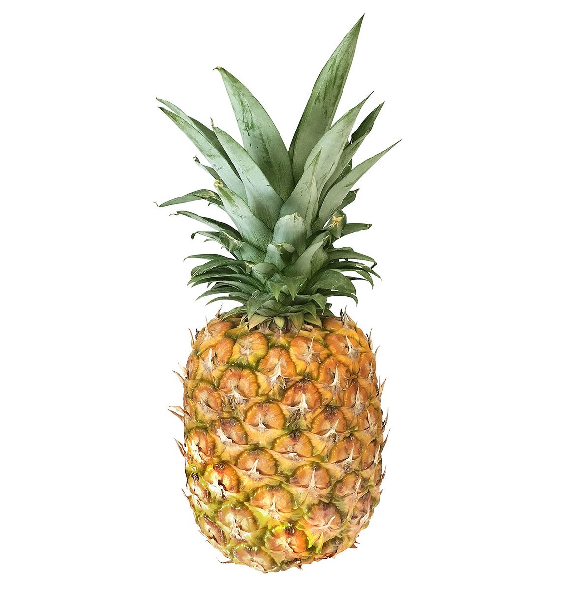 PINYA EXOTICA P/KG
