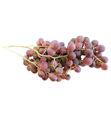RAIM ROSAT P/Kg