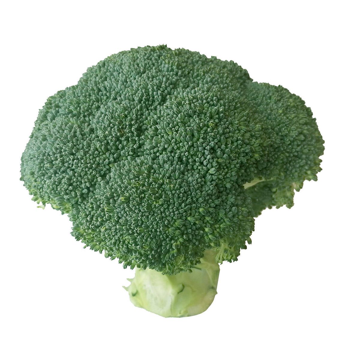 BRÒCOLI unitat