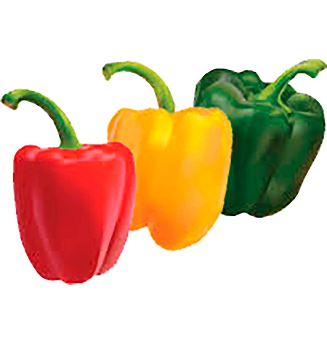 PEBROT TRICOLOR 500 G