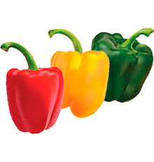 PEBROT TRICOLOR 500 G