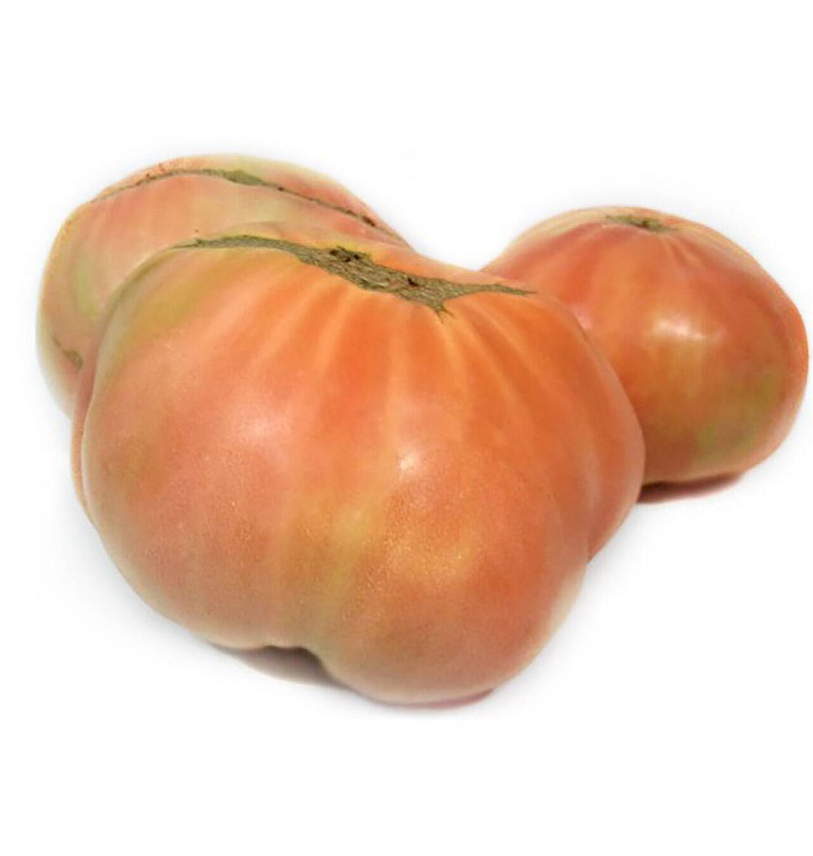 TOMAQUET ROSA