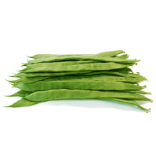 MONGETA HELDA
