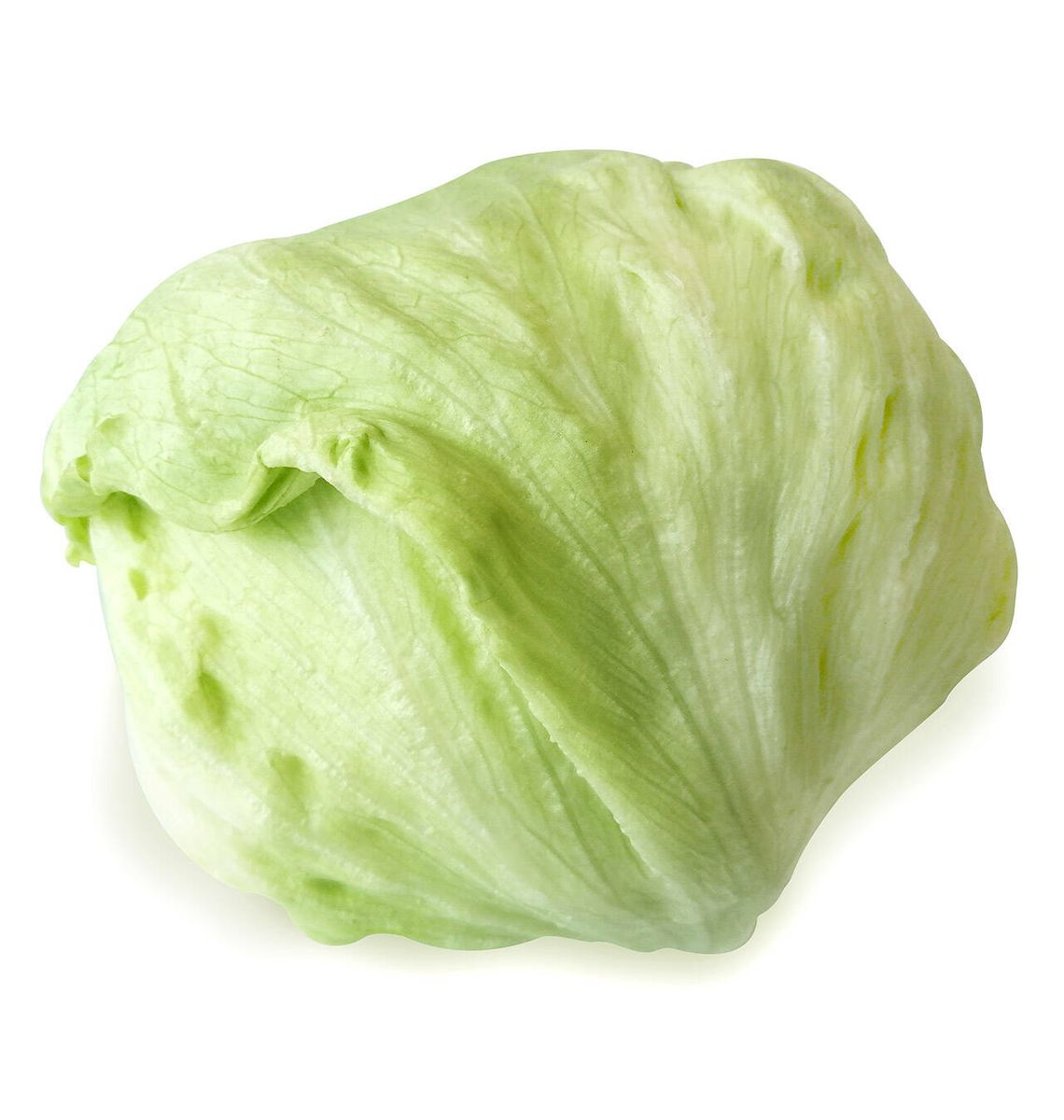 ENCIAM ICEBERG BOSSA unitat
