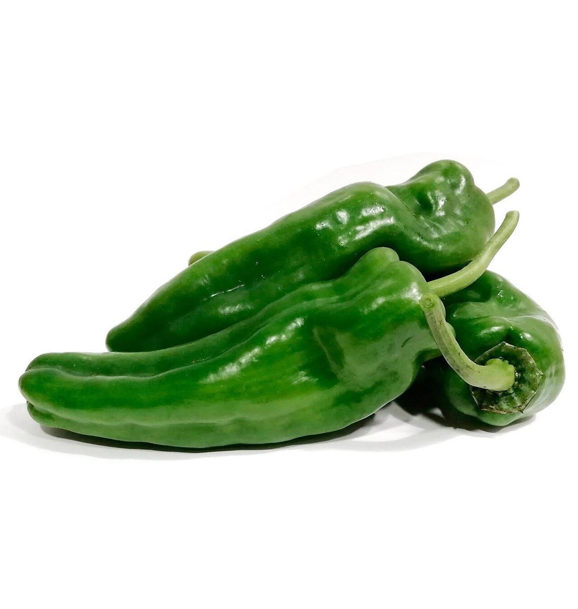 PEBROT ITALIA