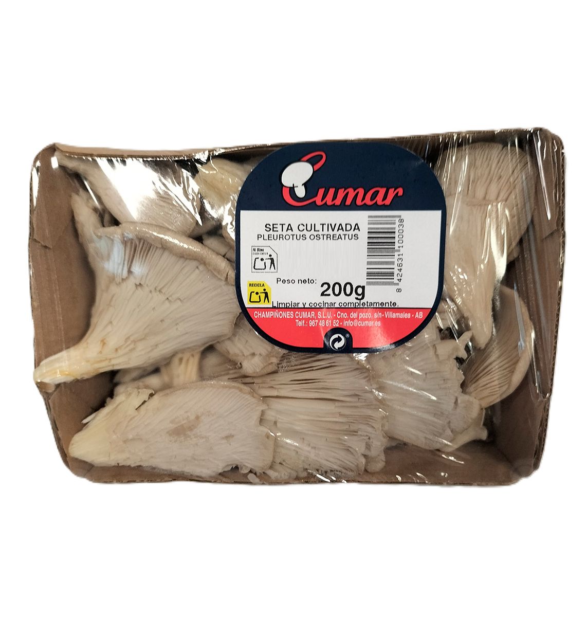 GIRGOLA SAFATA 200g unitat