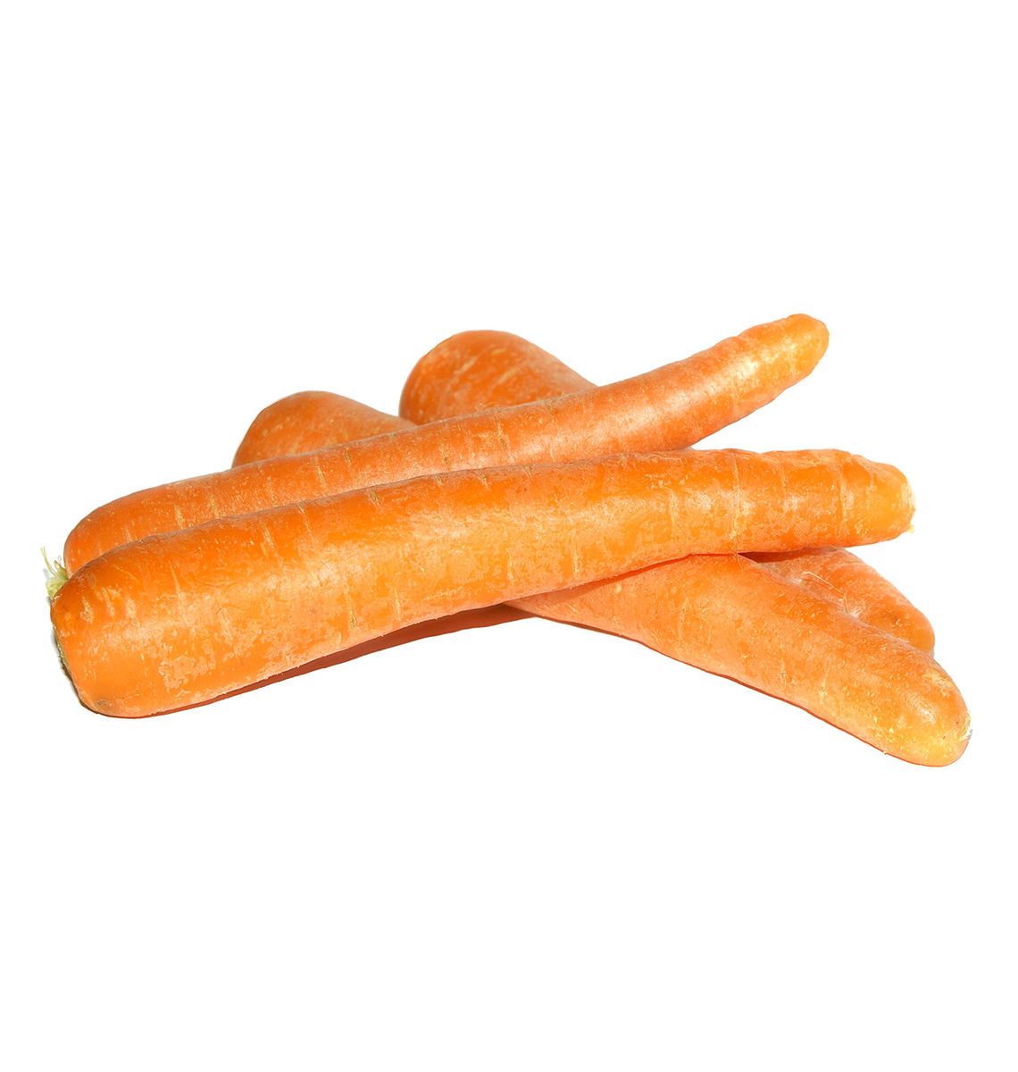 PASTANAGA