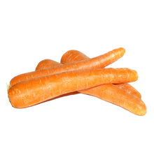 PASTANAGA