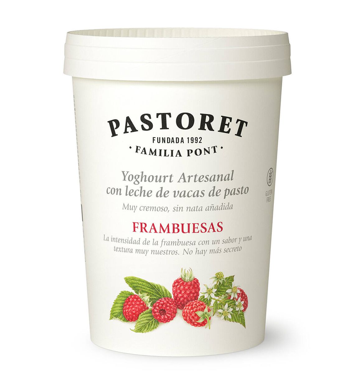 IOGURT PASTORET GERDS 500g