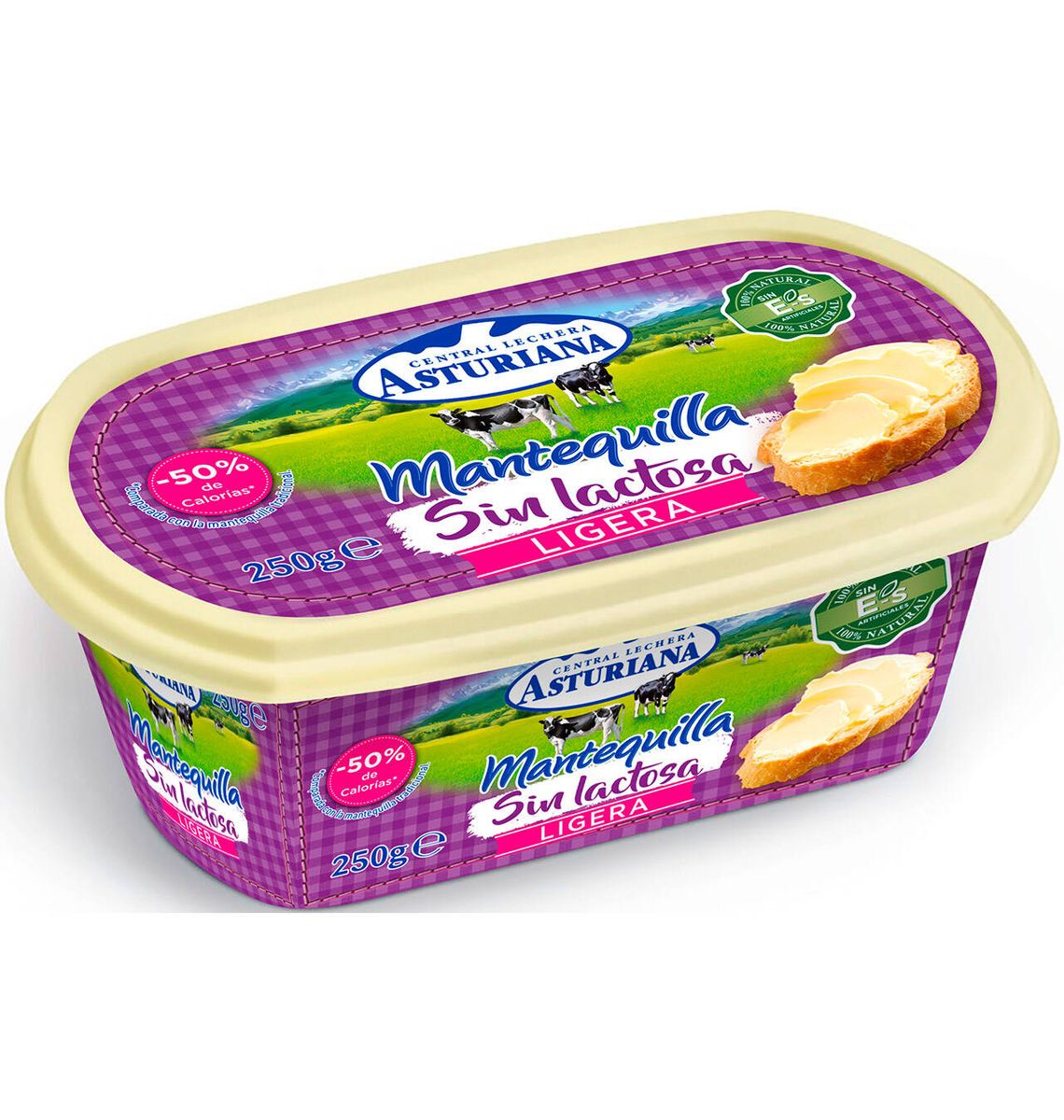 MANTEGA ASTURIANA NO LACT 250g