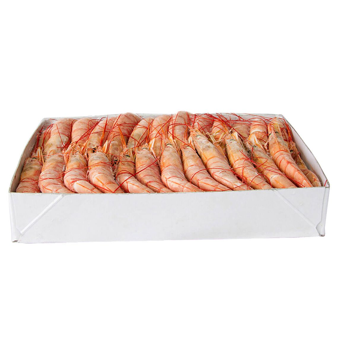 GAMBA LLAGOSTINERA N. 2