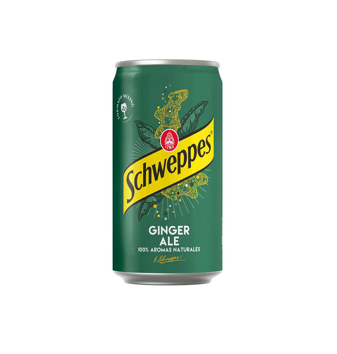 GINGERALE SCHWEPPES LL 25cl