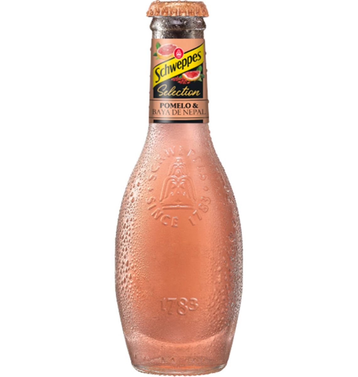 TONICA SCHWEPPES ORANJA 20cl