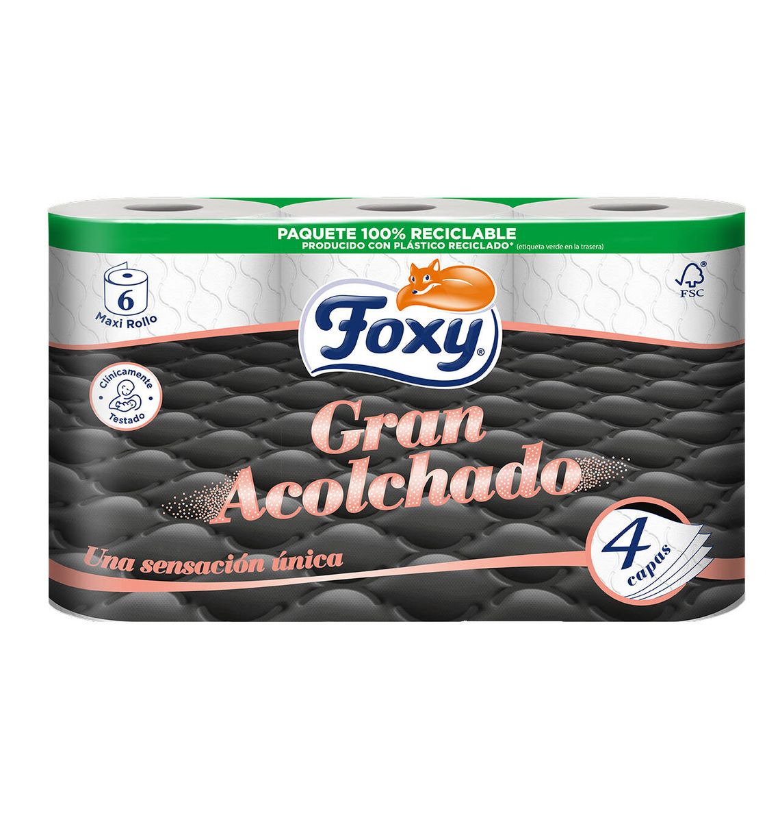 PAPER WC FOXY G ACOLCH 4C x6